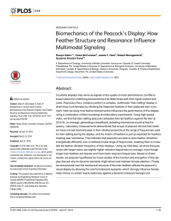 Biomechanics of the Peacock`s Display: How Feather