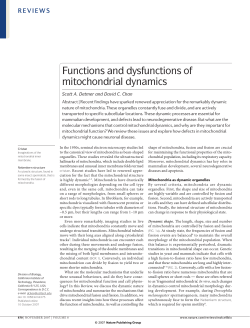 Functions and dysfunctions of mitochondrial dynamics