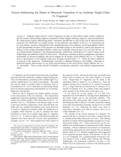 Factors Influencing the Dimer to Monomer Transition of an Antibody