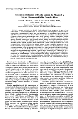 Species Identification of Pacific Salmon by Means of a Major