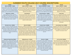 Course DESCRIPTIONS - Palm Beach State College