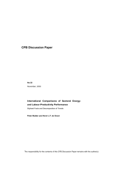 CPB Discussion Paper