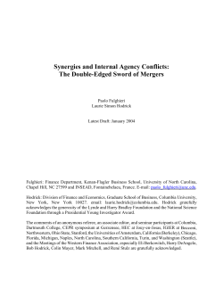 Synergies and Internal Agency Conflicts