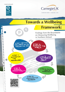 Towards a Wellbeing Framework: Findings from the Roundtable on