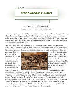 Fall 2014 - Guthrie County