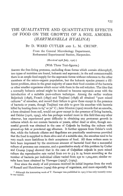 THE QUALITATIVE AND QUANTITATIVE EFFECTS OF FOOD ON
