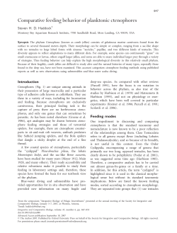Comparative feeding behavior of planktonic