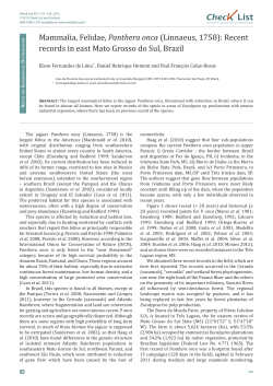 Mammalia, Felidae, Panthera onca (Linnaeus, 1758): Recent