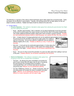 Goose Control Techniques