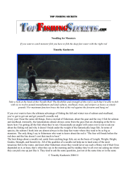 Noodle Rods - Top Fishing Secrets