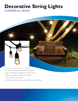 Decorative String Lights