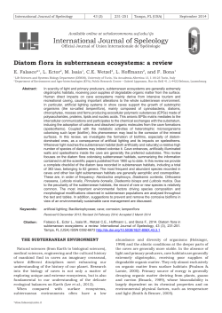 Diatom flora in subterranean ecosystems: a review