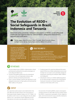 The Evolution of REDD+ Social Safeguards in Brazil, Indonesia and