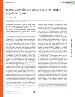 Mother centrioles are kicked out so that starfish zygote can grow