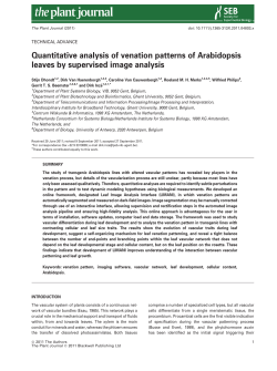 Quantitative analysis of venation patterns of