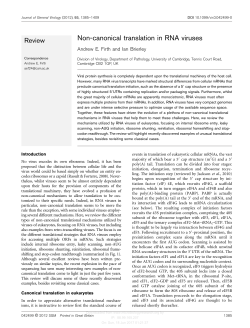 Non-canonical translation in RNA viruses
