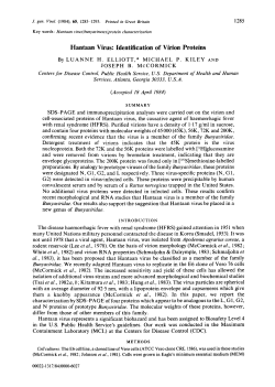 Hantaan Virus: Identification of Virion Proteins