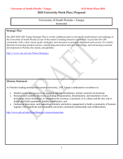working draft of the Tampa work plan