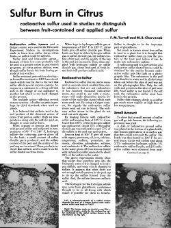 Sulfur Burn in Citrus radioactive sulfur used in studies to