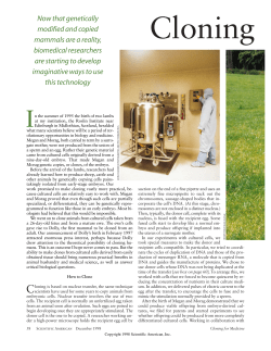 Scientific American, December 1998, 279