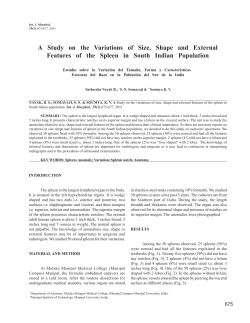 A Study on the Variations of Size, Shape and External