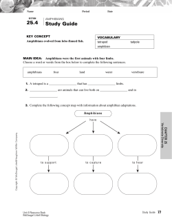 Amphibians - Bismarck Public Schools