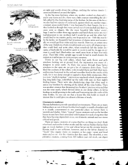 Ht]\1E GROT`\T) at night and scuttle about the ceilings, catching the