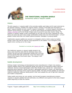 Guide to the Vaquera saddle