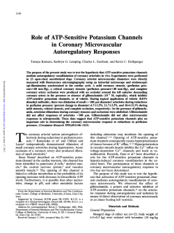 Role of ATP-Sensitive Potassium Channels in Coronary