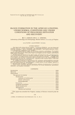 blood formation in the african lungfish, under normal conditions and