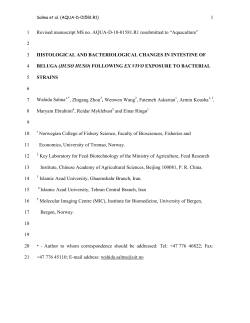 Manuscript (Salma et al - Munin