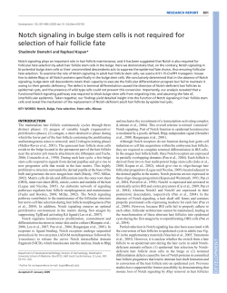 Notch signaling in bulge stem cells is not required for