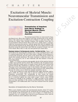 Neuromuscular Transmission and Excitation of Skeletal Muscle