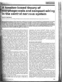 tension-based theory of c rphoge lesis and compact wiring in the