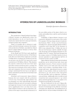 HYDROLYSIS OF LIGNOCELLULOSIC BIOMASS