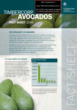 avocados - 100 Percent Investing