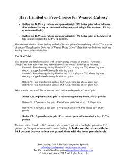 Hay: Limited or Free-Choice for Weaned Calves?