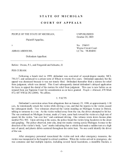 state of michigan court of appeals