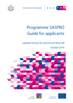 Guide for applicants - 2nd and 3rd call