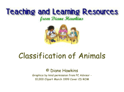 Classification of Animals