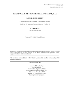 BOARDWALK PETROCHEMICAL PIPELINE, LLC