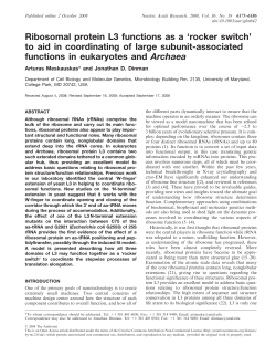 Ribosomal protein L3 functions as a `rocker switch` to aid in