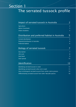 Section 1 The serrated tussock profile