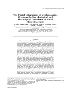 The Facial Integument of Centrosaurine