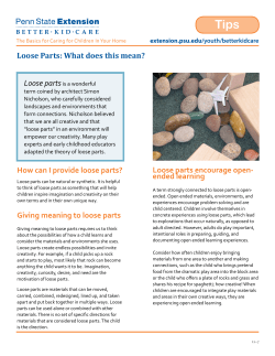 Loose Parts: What does this mean? How can I provide loose parts