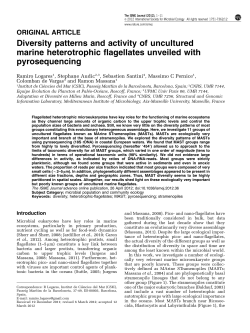 Diversity patterns and activity of uncultured marine heterotrophic