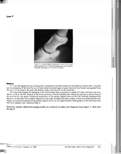 A 7-year-old Appaloosa was evaluated for a progressive forelimb