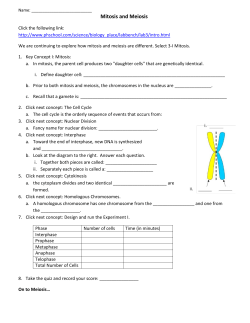 Mitosis and Meiosis