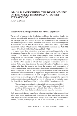 IMAGE IS EVERYTHING: THE DEVELOPMENT OF THE NEGEV