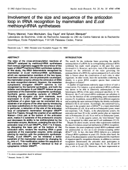 Involvement of the size and sequence of the anticodon loop in tRNA